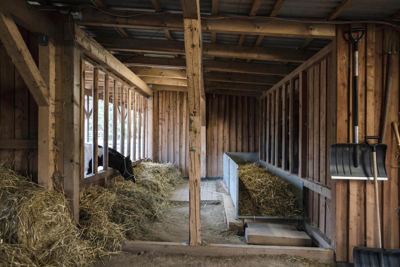 Ranchhouse Smoker- Westernstable - Horse Elterlein Екстер'єр фото