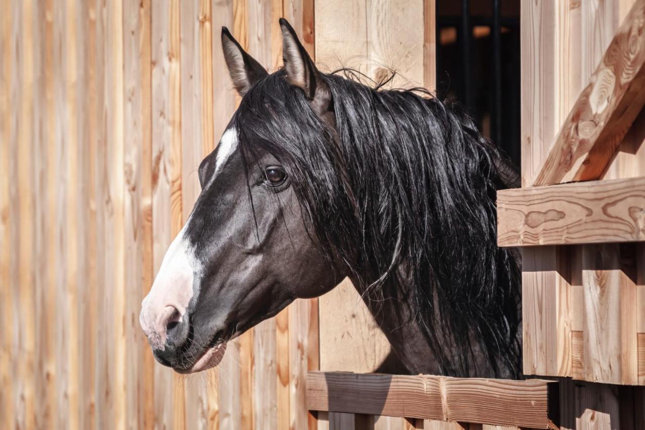 Ranchhouse Smoker- Westernstable - Horse Elterlein Екстер'єр фото